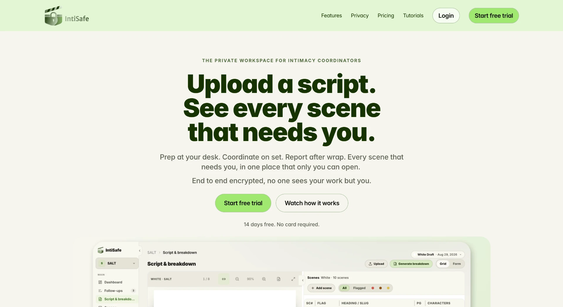 IntiSafe encrypted workspace website and script breakdown interface